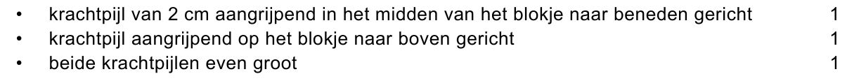 beoordelingsmodel vraag 13