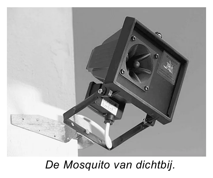 De Mosquito van dichtbij.