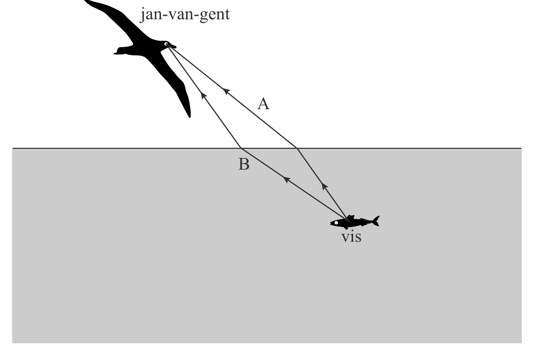 jan-van-gent A B vis