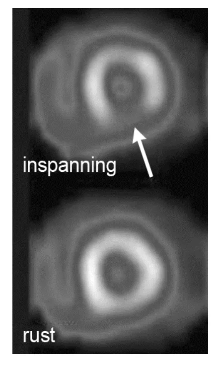 figuur 2