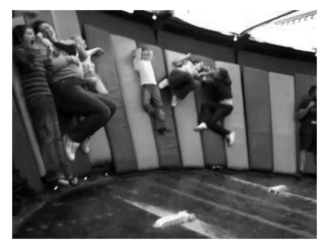 figuur 2